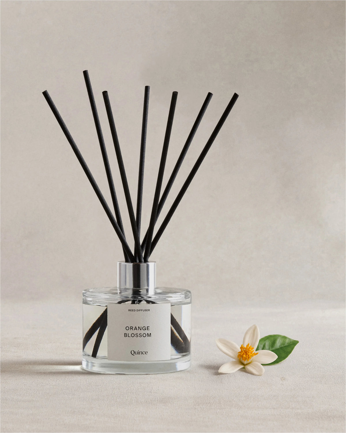 Orange Blossom Reed Diffuser - One Size / No Color Main image