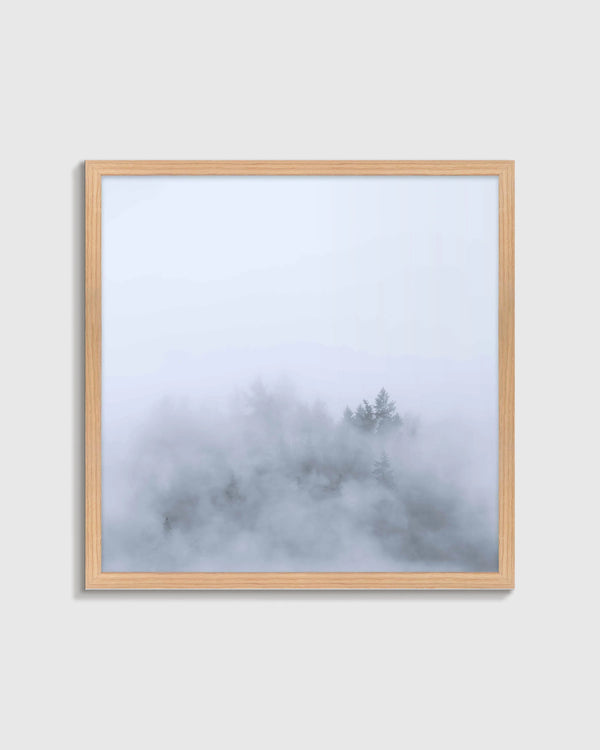 Above the Mist by Laura Zimmerman - 21.25"x21.25" / White