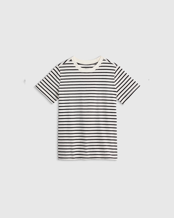 100% Organic Cotton Jersey Short Sleeve Tee - 2T / Dino Sketch