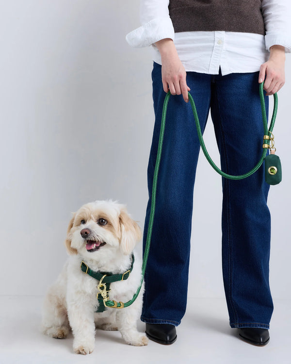 100% Cotton-Wrapped Nylon Dog Harness Walk Kit - XS / Ruby