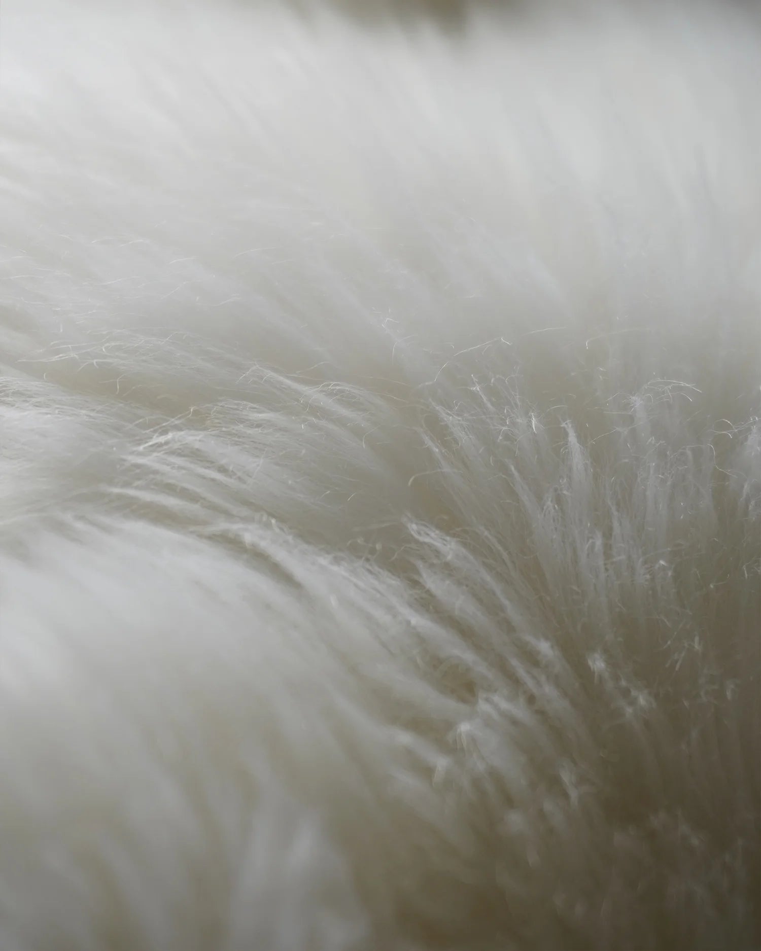 Australian Single Sheepskin Rug - 2' x 3' / Ivory Secondary image