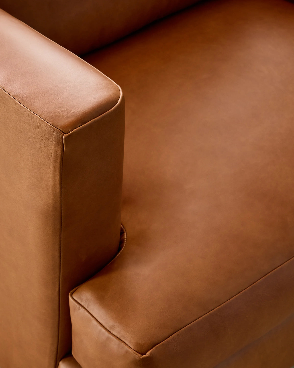 Sierra Curved Arm Accent Chair in Leather - One Size / Scotch