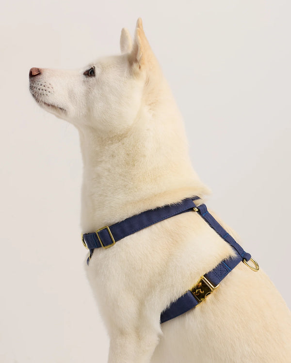 100% Cotton-Wrapped Nylon Dog Harness - XS / Navy