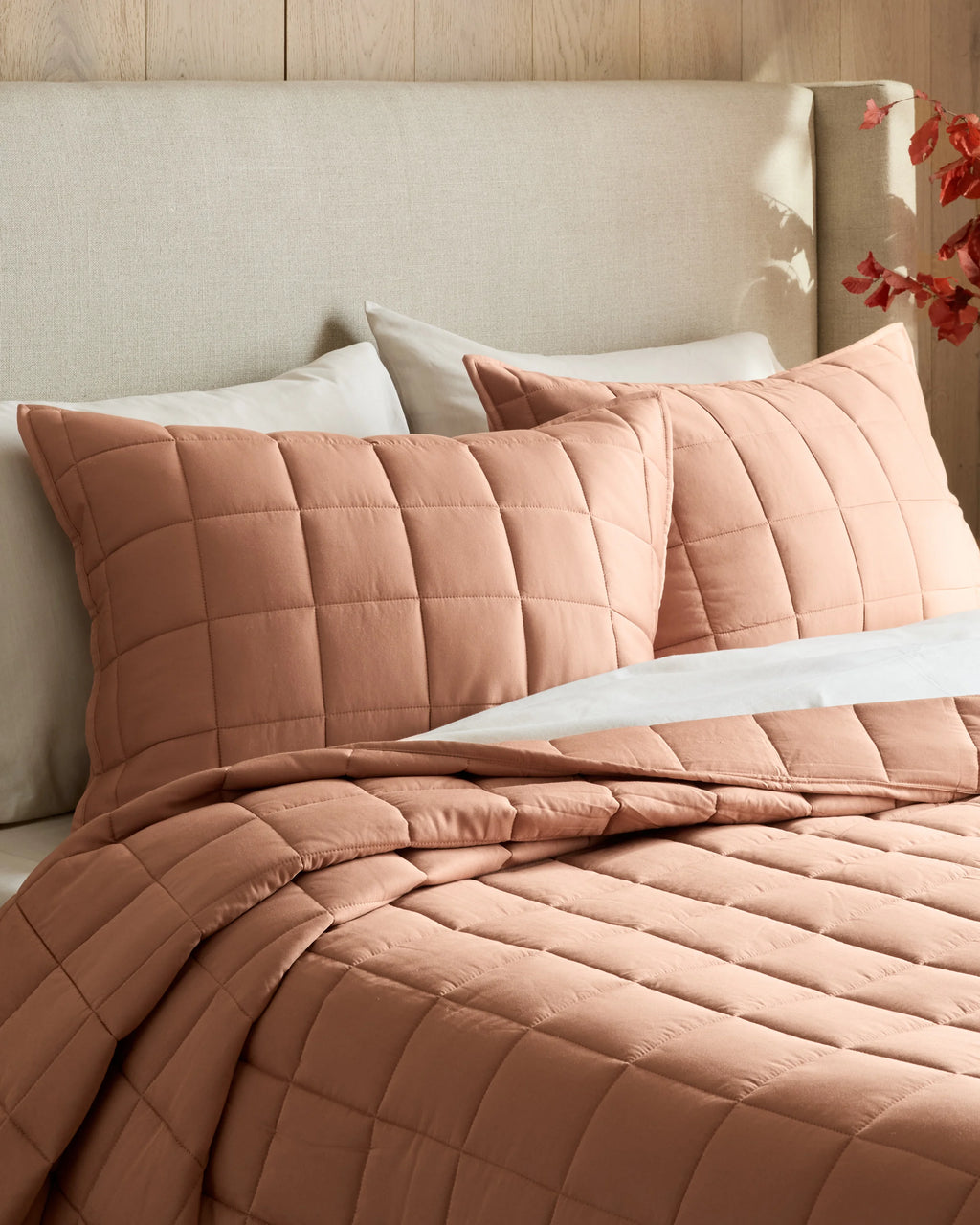 Bamboo Box Quilted Sham Set - Standard / Sage