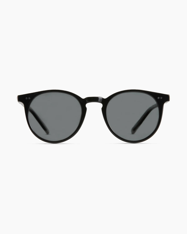 Noah Polarized Acetate Sunglasses - Standard / Tortoise with Brown lens