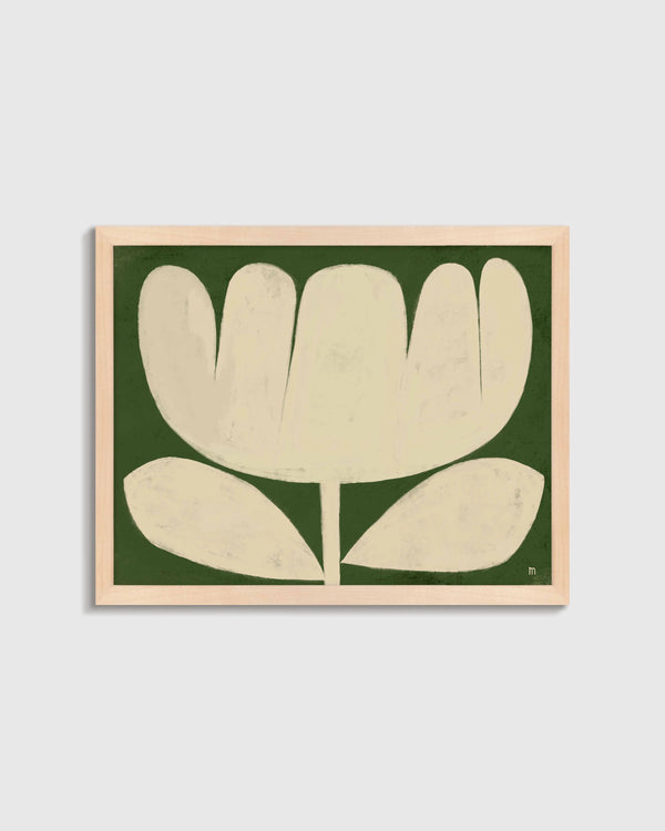 Tulip in Full by Marco Marella - 17.25"x25.25" / White