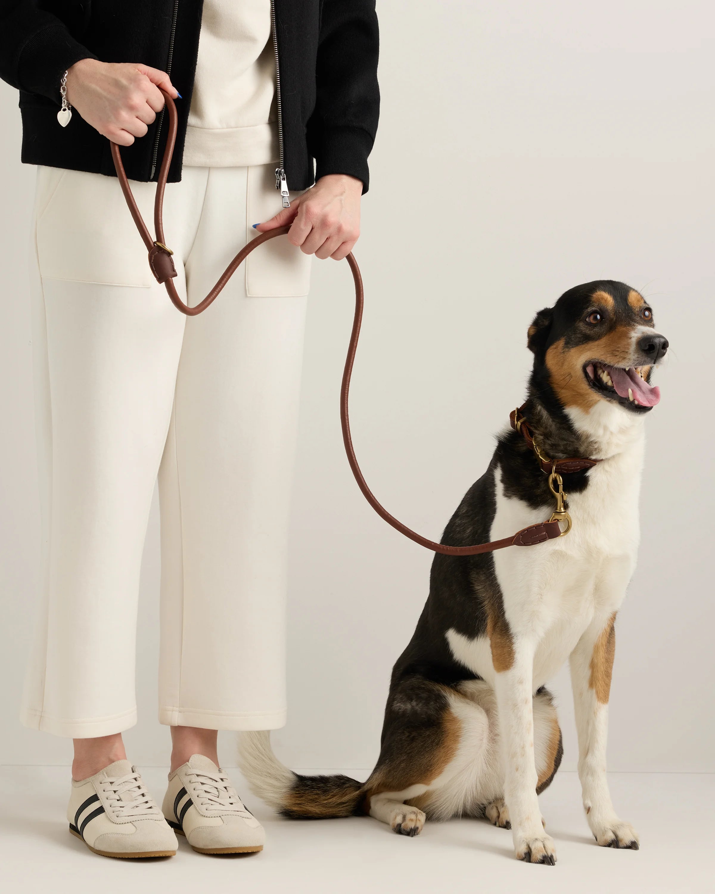 Italian Leather Dog Collar Walk Kit - XS / Brown Secondary image