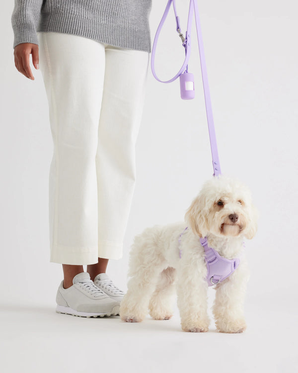 Dog Harness Walk Kit - XS / Black