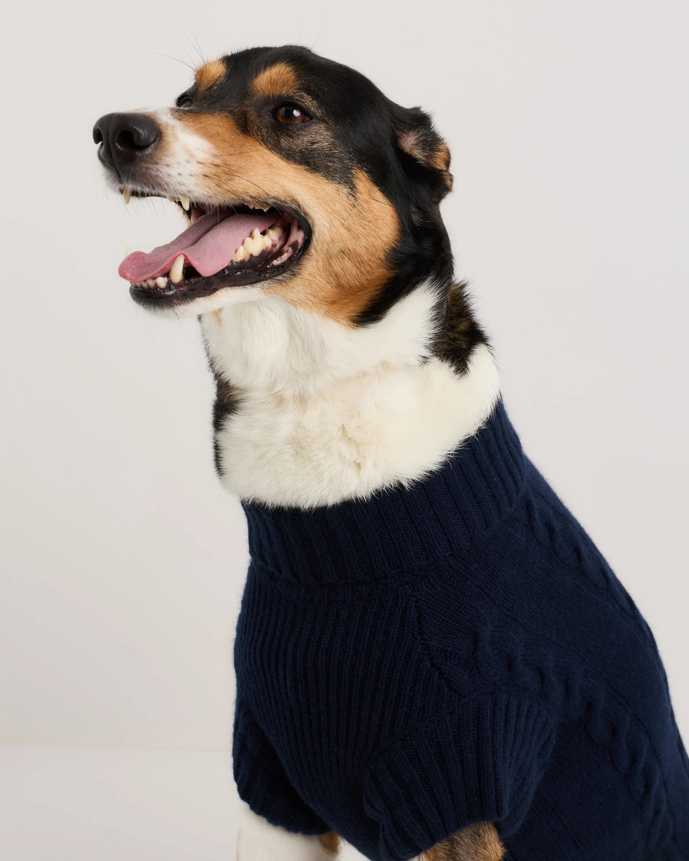 Mongolian Cashmere Cable Knit Dog Sweater - XS / True Navy Secondary image