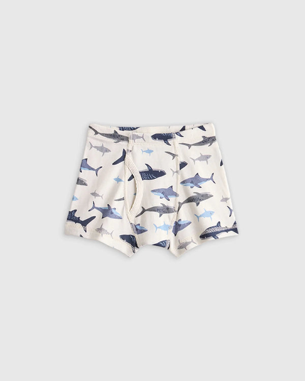 Boys 100% Organic Cotton Boxer Brief 7-Pack - 6 / Boy Multi Pack
