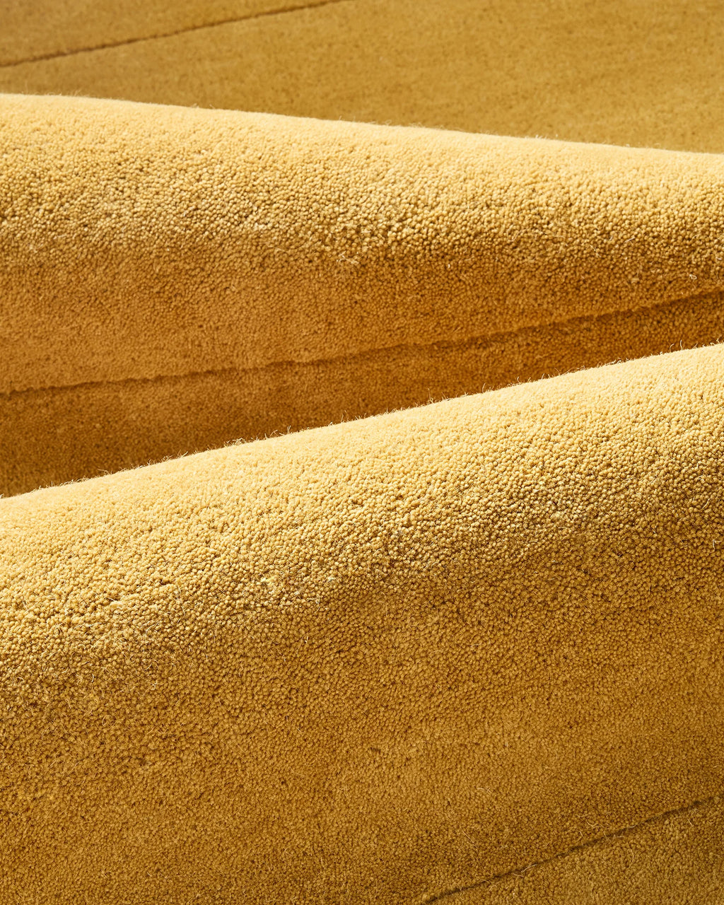 Scalloped Border Hand-Tufted Rug - 5' x 8' / Mustard