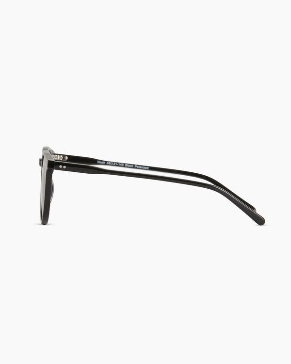 Noah Polarized Acetate Sunglasses - Standard / Tortoise with Brown lens