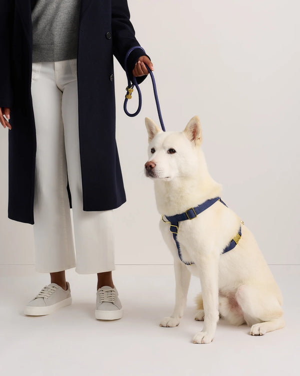 100% Cotton-Wrapped Nylon Dog Harness - XS / Navy