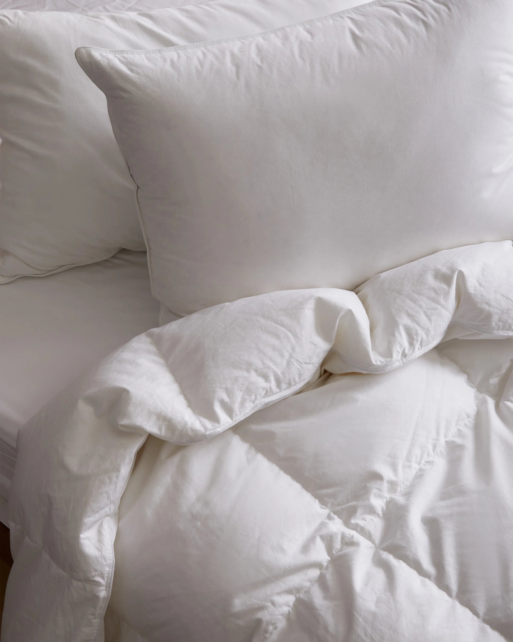 Premium Down Alternative Duvet Insert - Twin / White