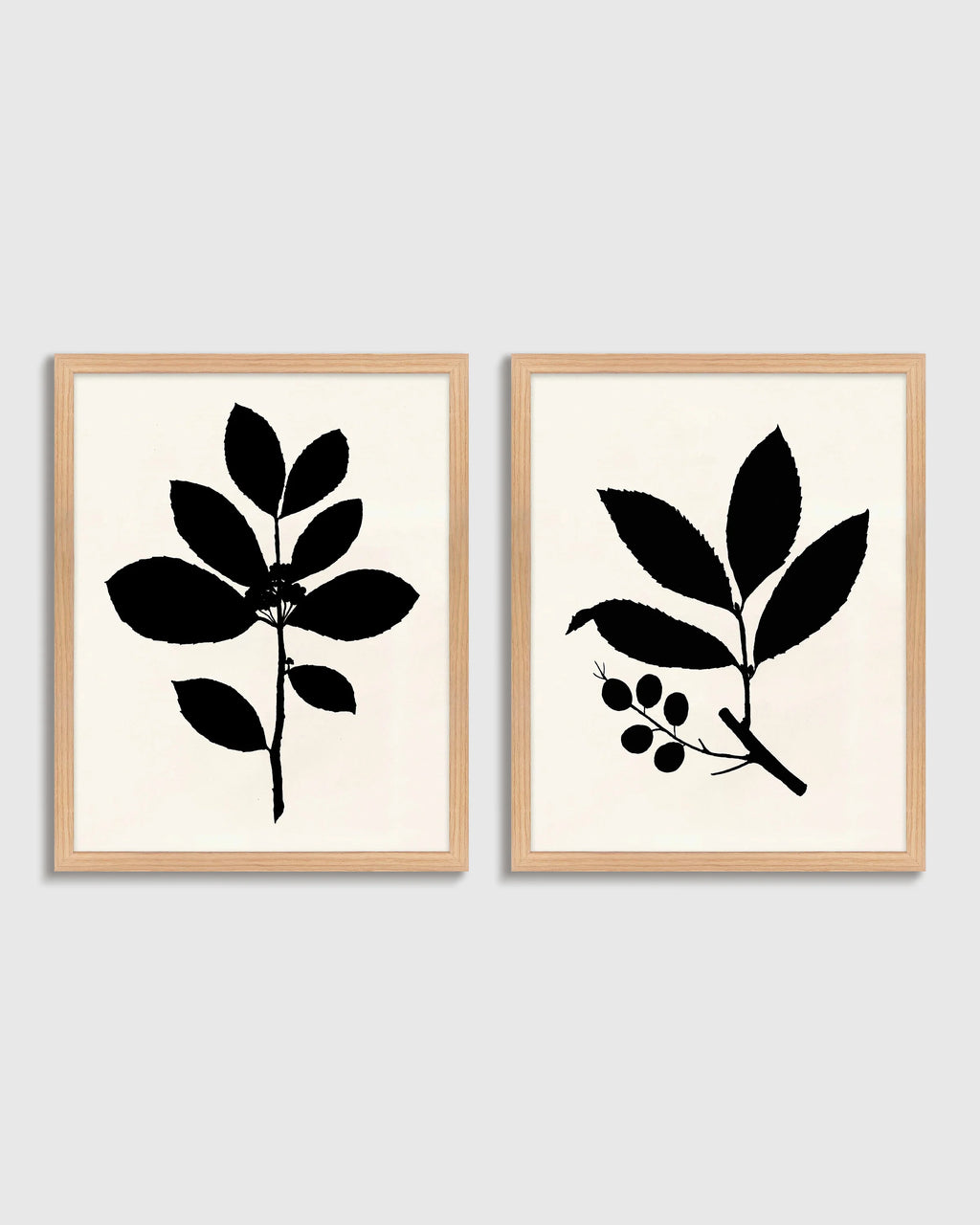 Tea Tree, Cherry Laurel by Philippa Katz (Set of 2) - 17.25"x21.25" / Black