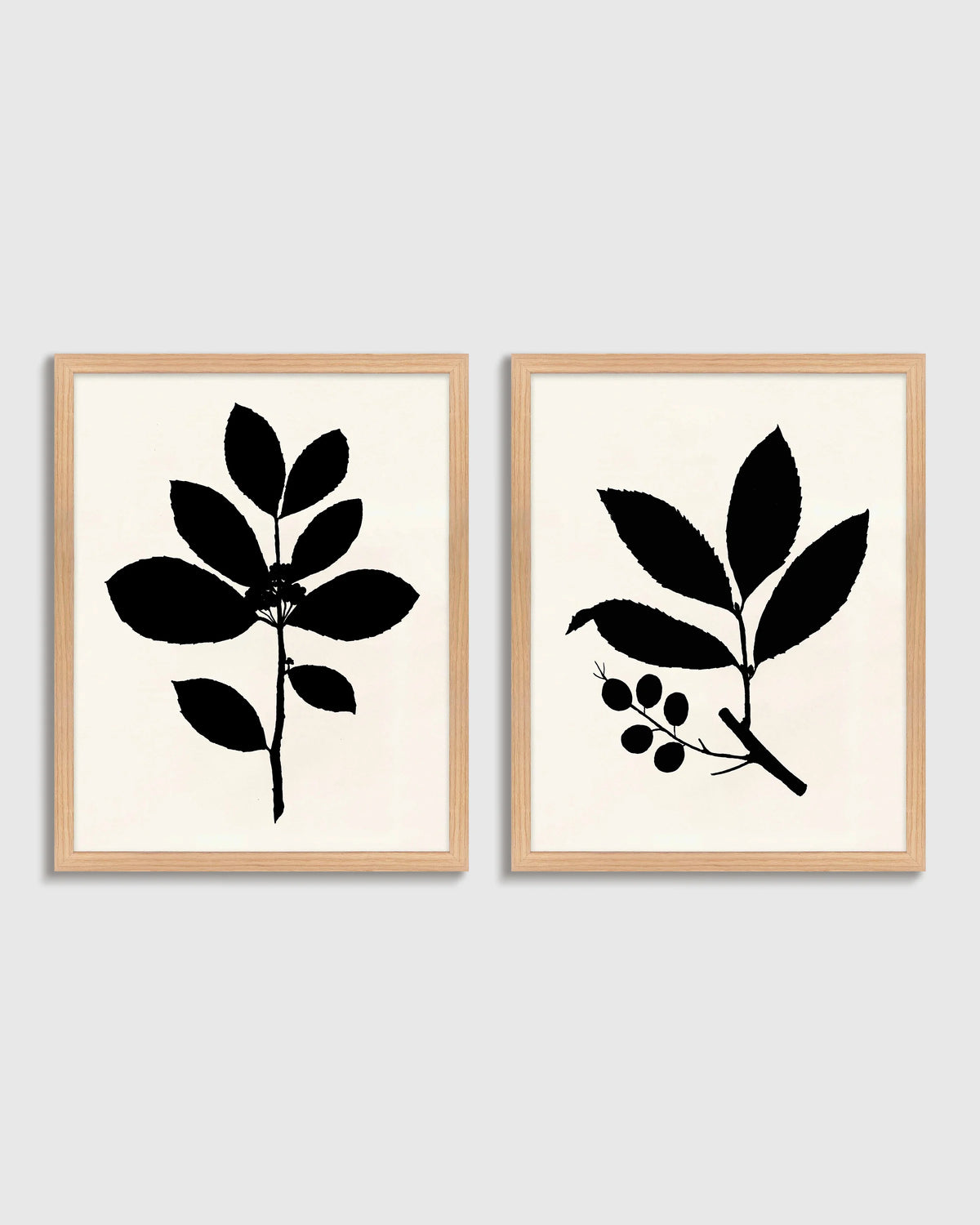 Tea Tree, Cherry Laurel by Philippa Katz (Set of 2) - 17.25"x21.25" / Black