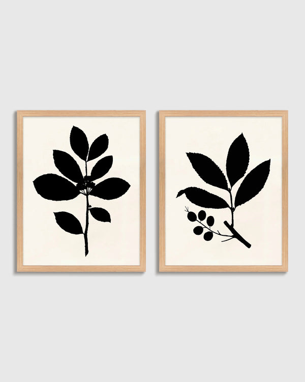 Tea Tree, Cherry Laurel by Philippa Katz (Set of 2) - 17.25"x21.25" / Black