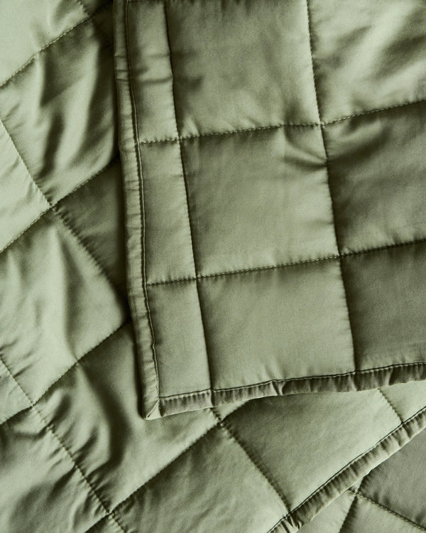 Bamboo Box Quilt Set - Twin / Sage