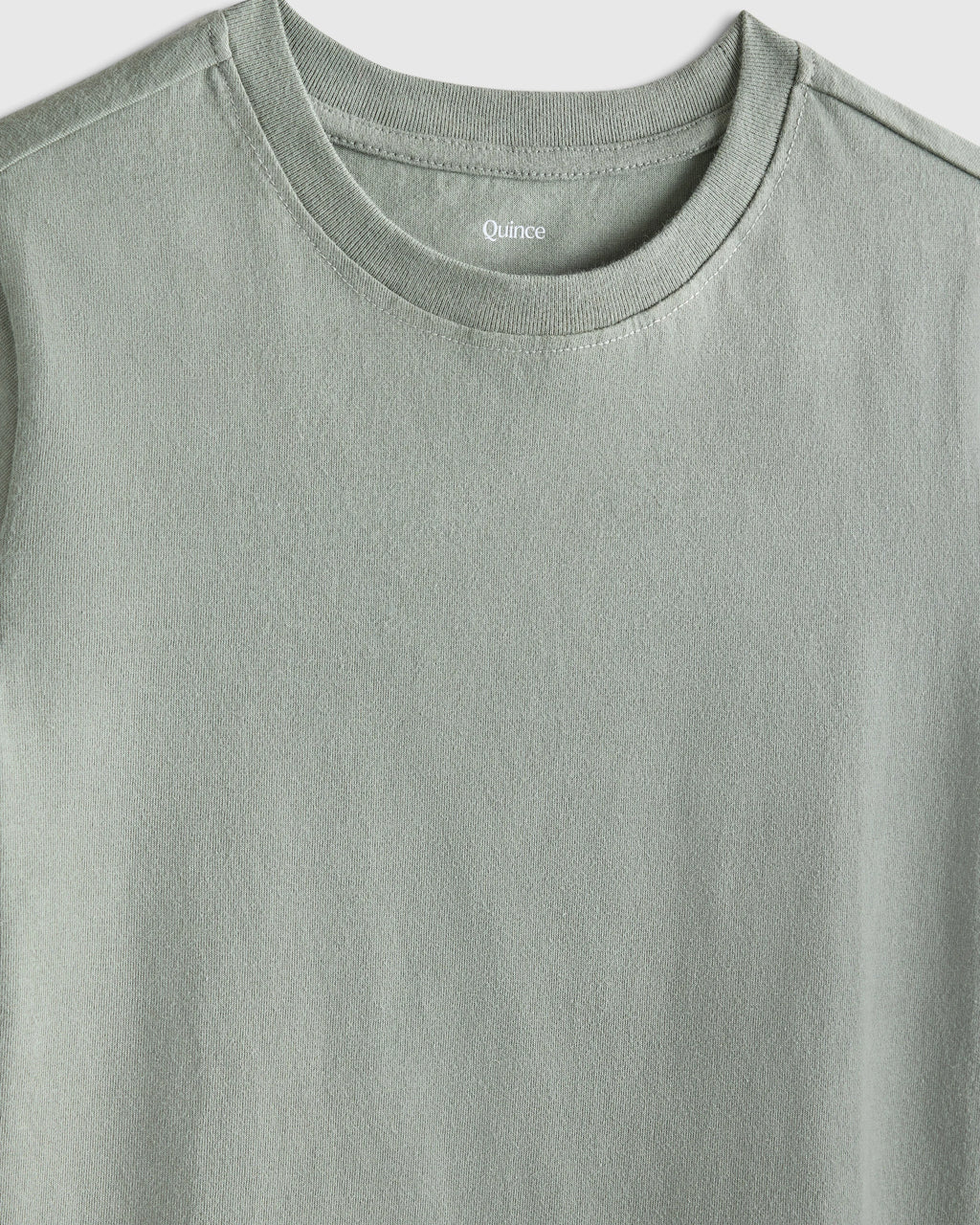 100% Organic Cotton Jersey Short Sleeve Tee - 2T / Dino Sketch