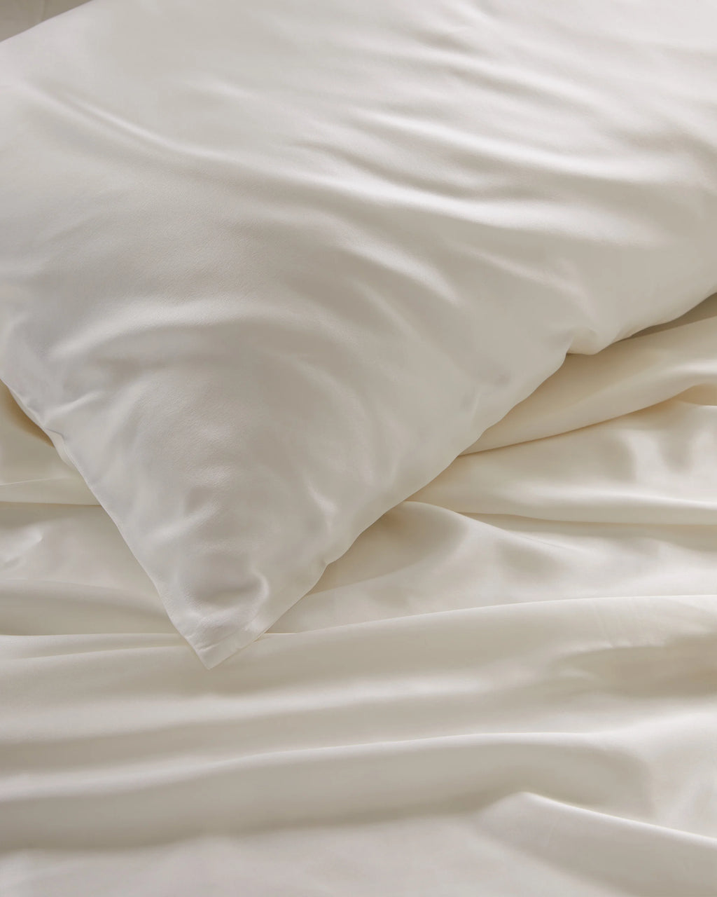 Mulberry Silk Fitted Sheet - Queen / Ivory