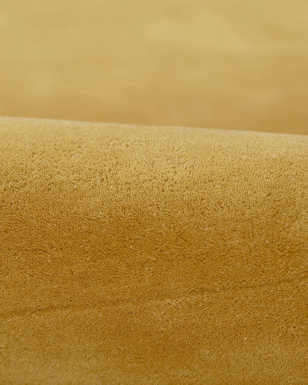 Scalloped Border Hand-Tufted Rug - 5' x 8' / Mustard