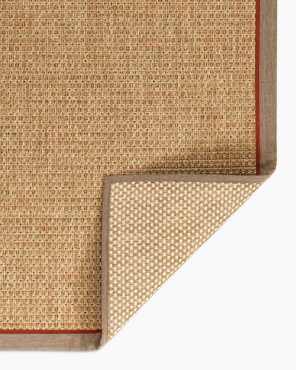 Kitt Indoor/Outdoor Rug - 2' x 4' / Brown/Beige