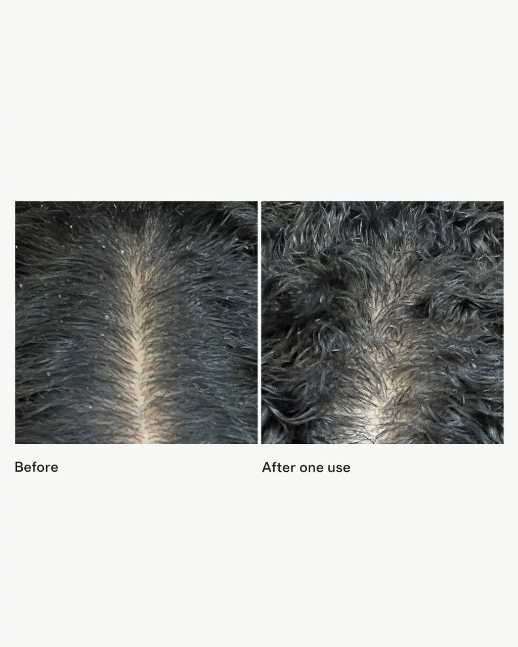 Scalp Revival™ Micro-Exfoliating Shampoo 32oz by Briogeo - One Size / No Color