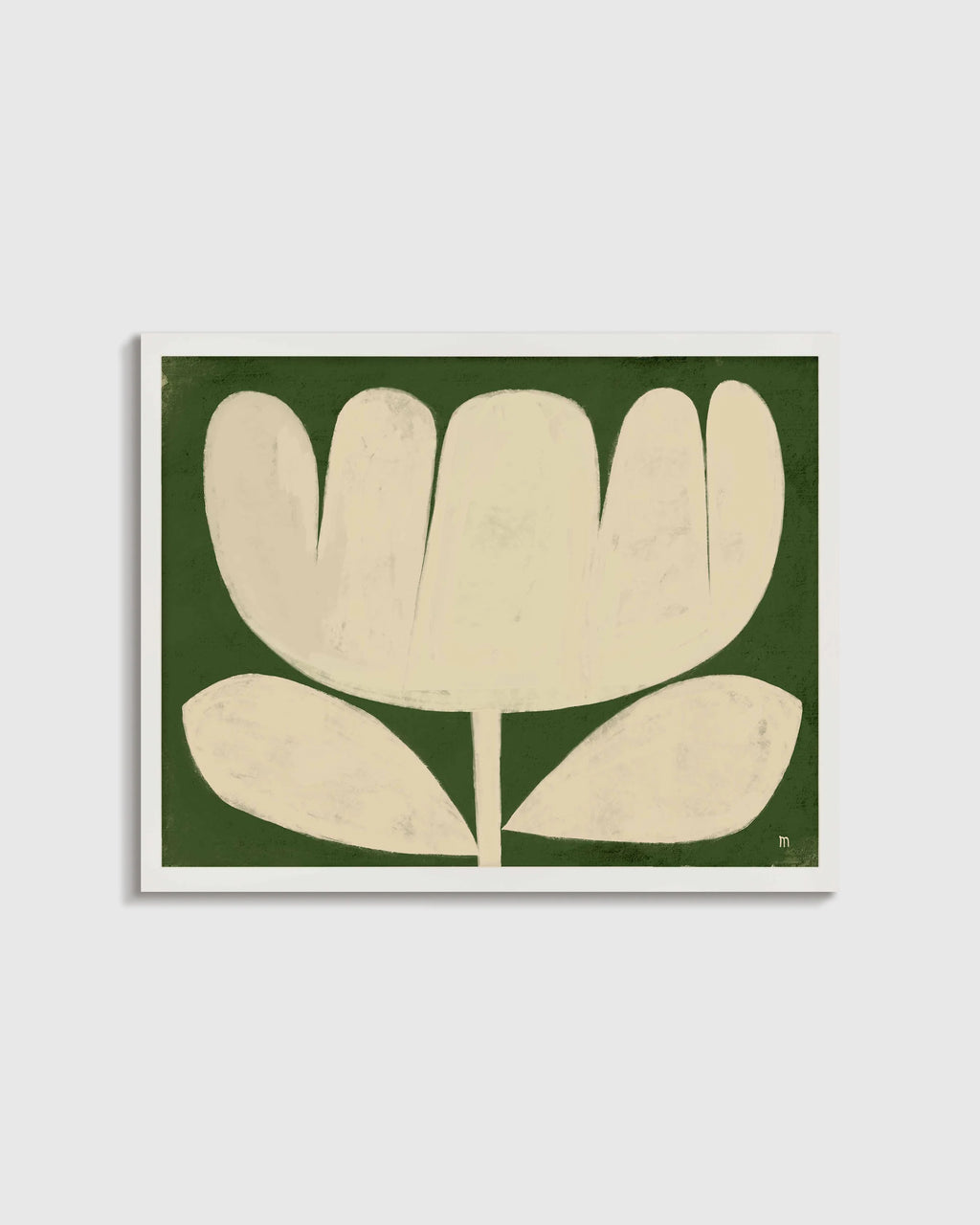 Tulip in Full by Marco Marella - 17.25"x25.25" / White