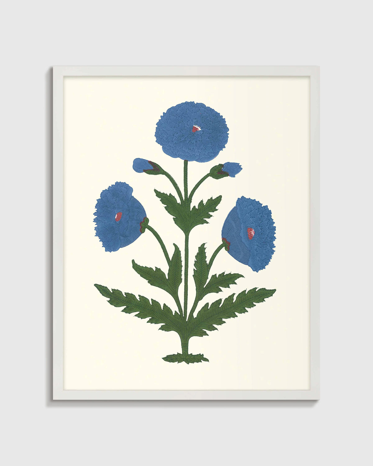 Blue Mughal Poppy Antique Print - 21.25"x26.25" / White Main image