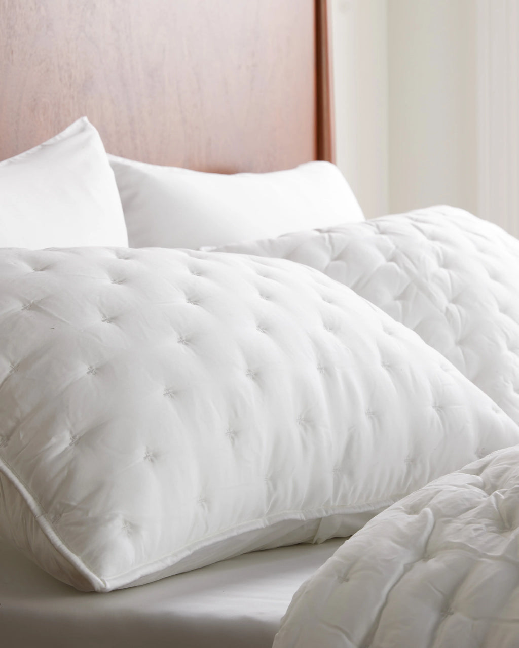 Bamboo Dream Quilted Sham Set - Standard / Sage