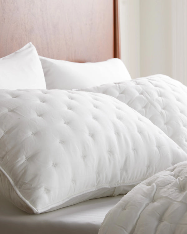 Bamboo Dream Quilted Sham Set - Standard / Sage
