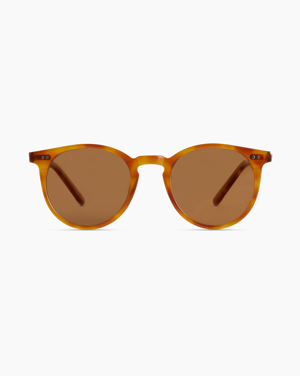 Noah Polarized Acetate Sunglasses - Standard / Tortoise with Brown lens