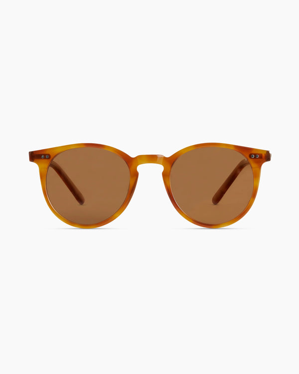 Noah Polarized Acetate Sunglasses - Standard / Tortoise with Brown lens