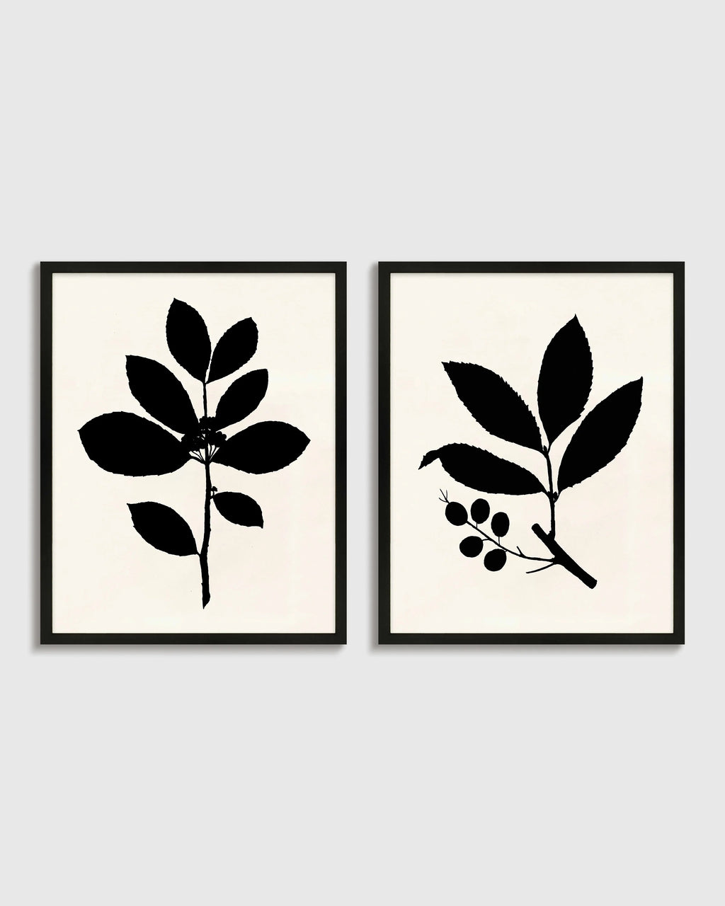 Tea Tree, Cherry Laurel by Philippa Katz (Set of 2) - 17.25"x21.25" / Black