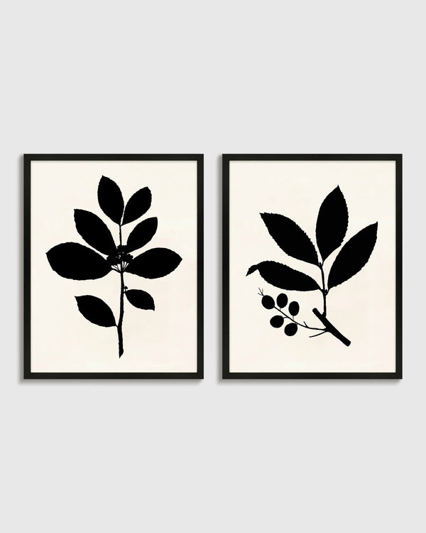 Tea Tree, Cherry Laurel by Philippa Katz (Set of 2) - 17.25"x21.25" / Black