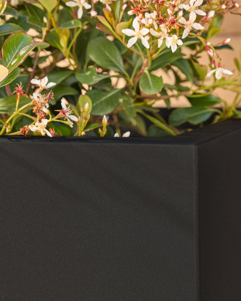 Block Series All Weather Rectangular Planter by Veradek - One Size / Black
