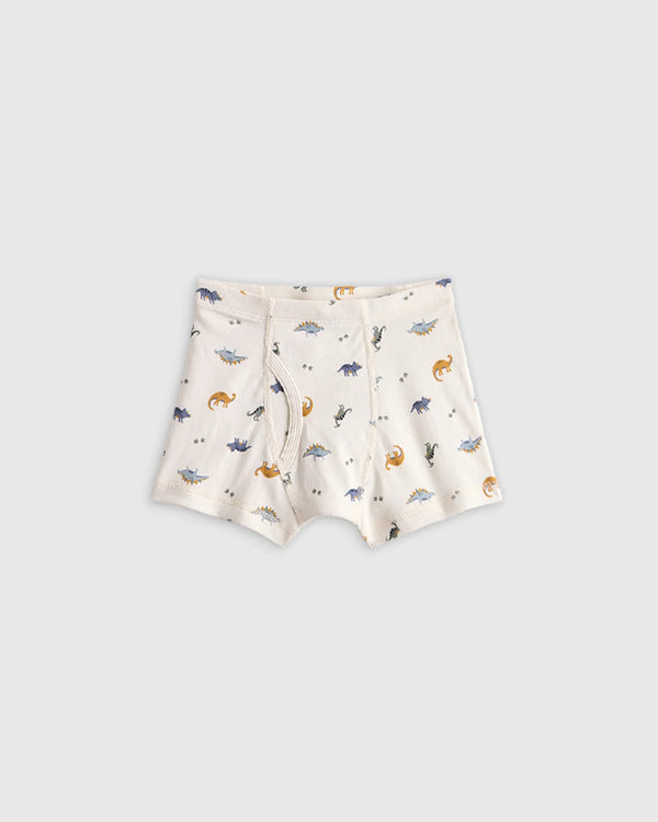 Boys 100% Organic Cotton Boxer Brief 7-Pack - 2T / Boy Multi Pack