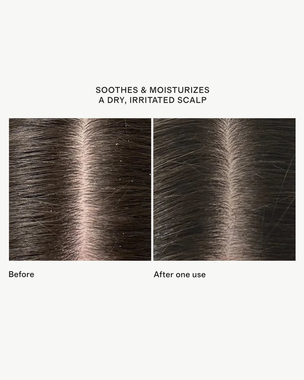 Scalp Revival™ Rosemary Pre-Wash Oil 3.4oz by Briogeo - One Size / No Color