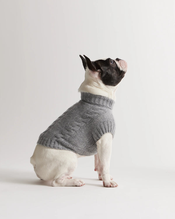 Mongolian Cashmere Cable Knit Dog Sweater - XS / True Navy