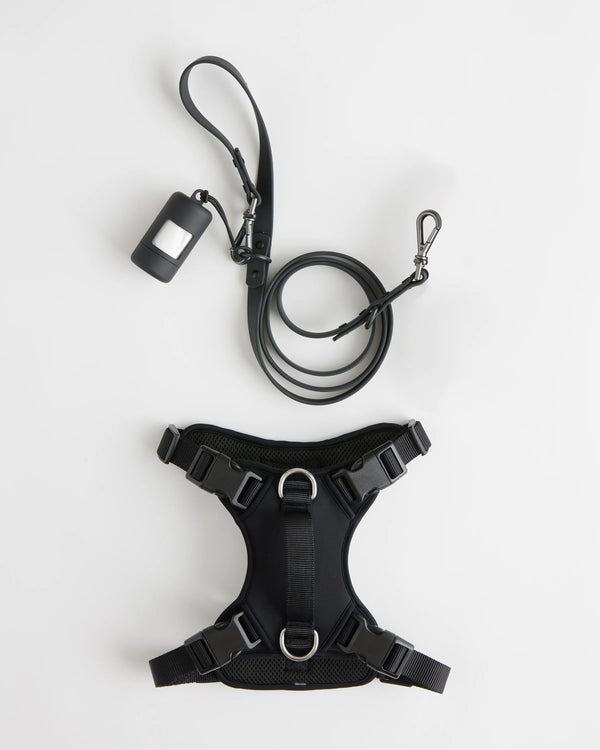 Dog Harness Walk Kit - XS / Black