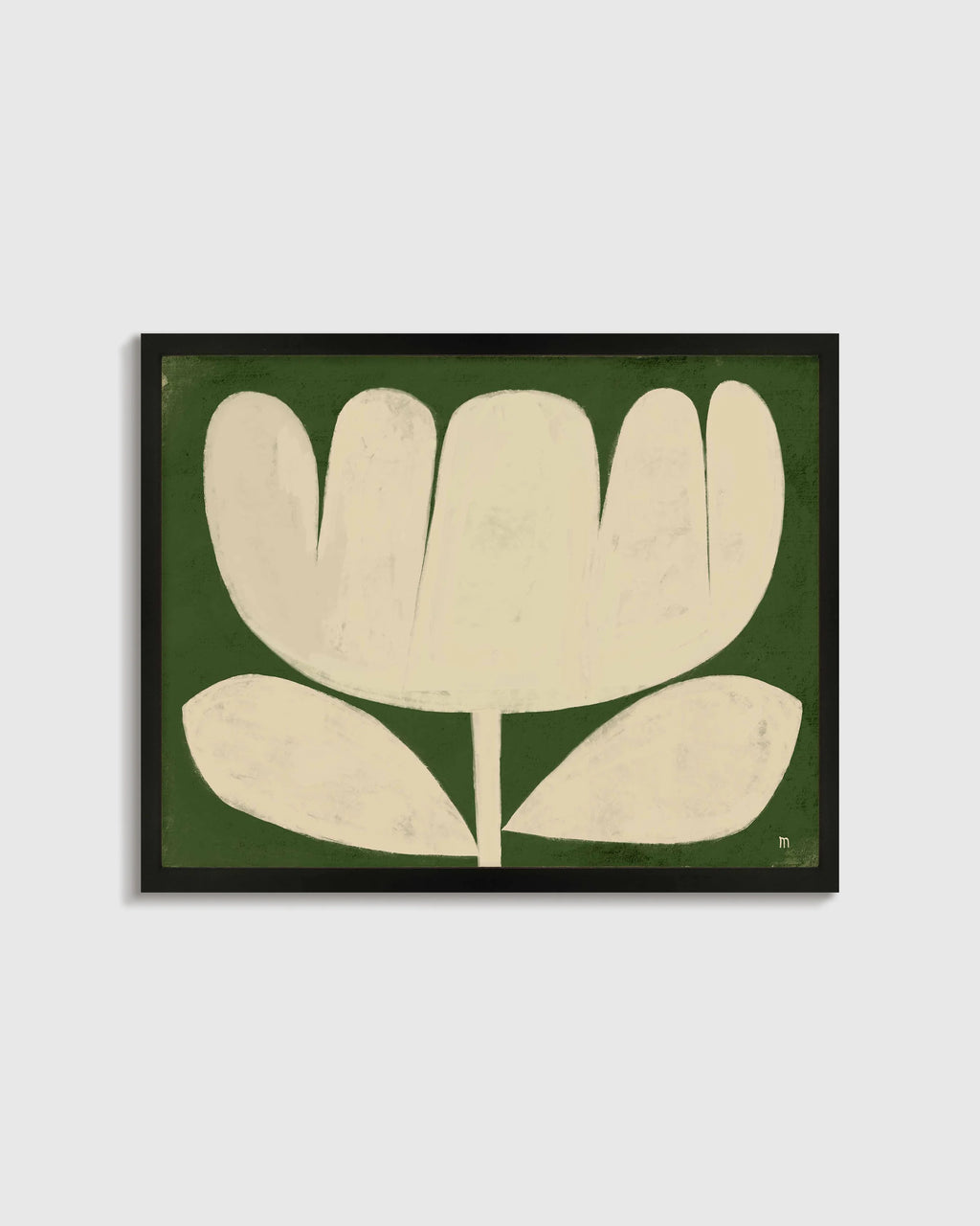 Tulip in Full by Marco Marella - 17.25"x25.25" / White