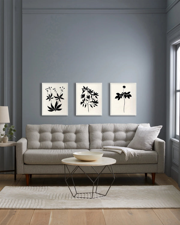 Botanical by Philippa Katz (Set of 3) - 17.25"x21.25" / Black