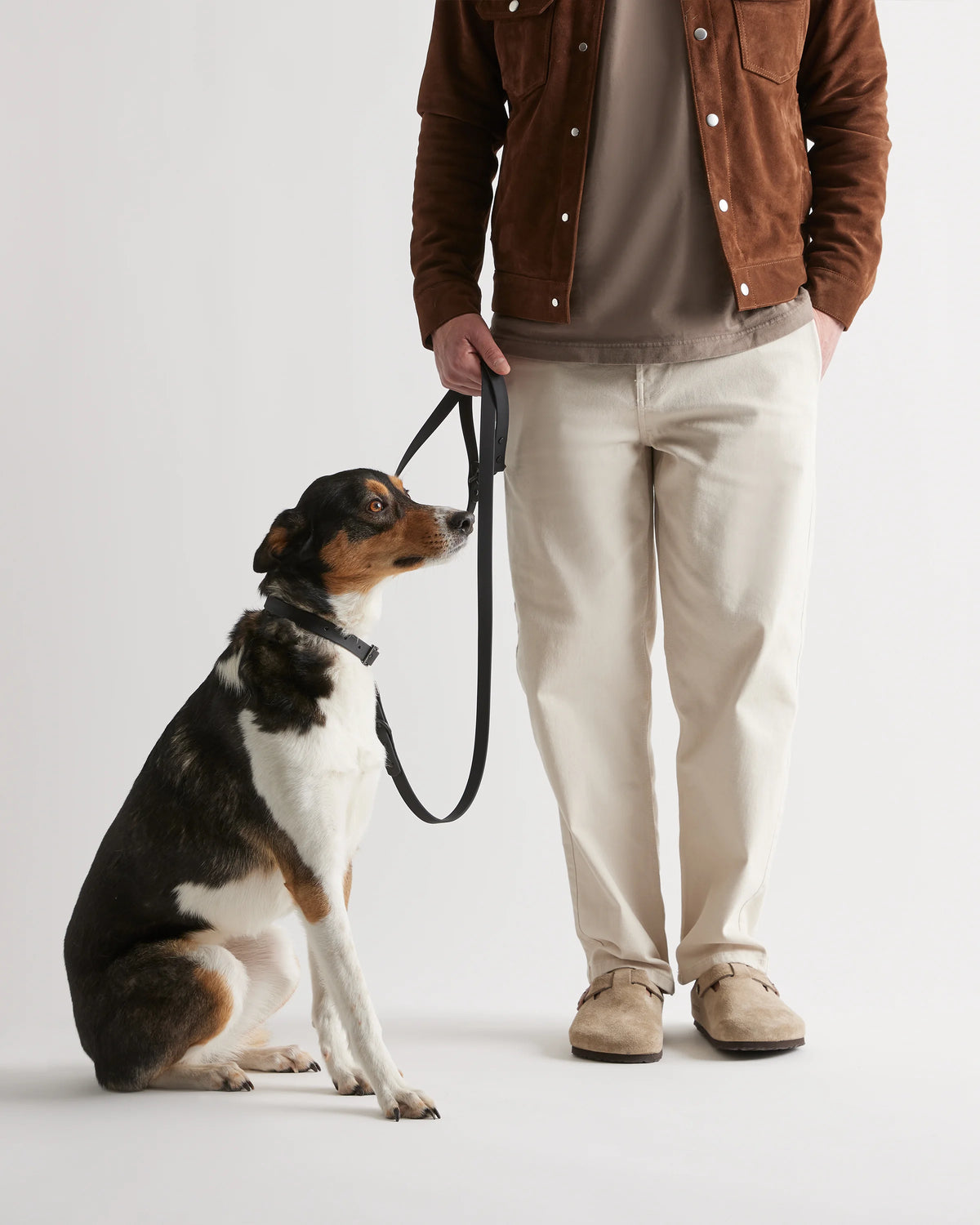 Flex-Poly Dog Leash - Standard / Black Main image