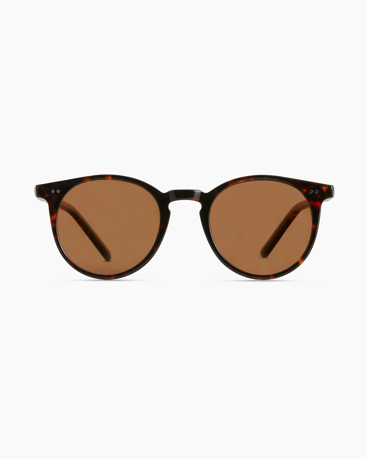 Noah Polarized Acetate Sunglasses - Standard / Tortoise with Brown lens Main image