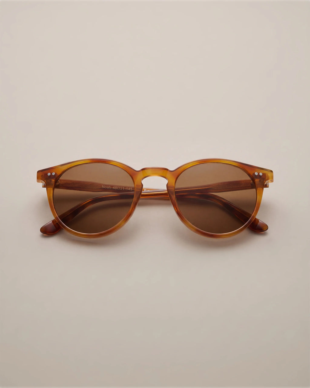 Noah Polarized Acetate Sunglasses - Standard / Tortoise with Brown lens