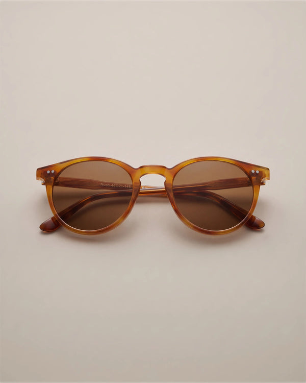 Noah Polarized Acetate Sunglasses - Standard / Tortoise with Brown lens