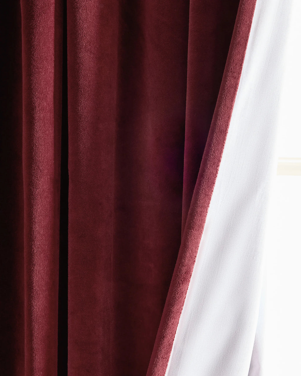 Cotton Velvet Curtain - Single Panel - 48x84 / Ivory