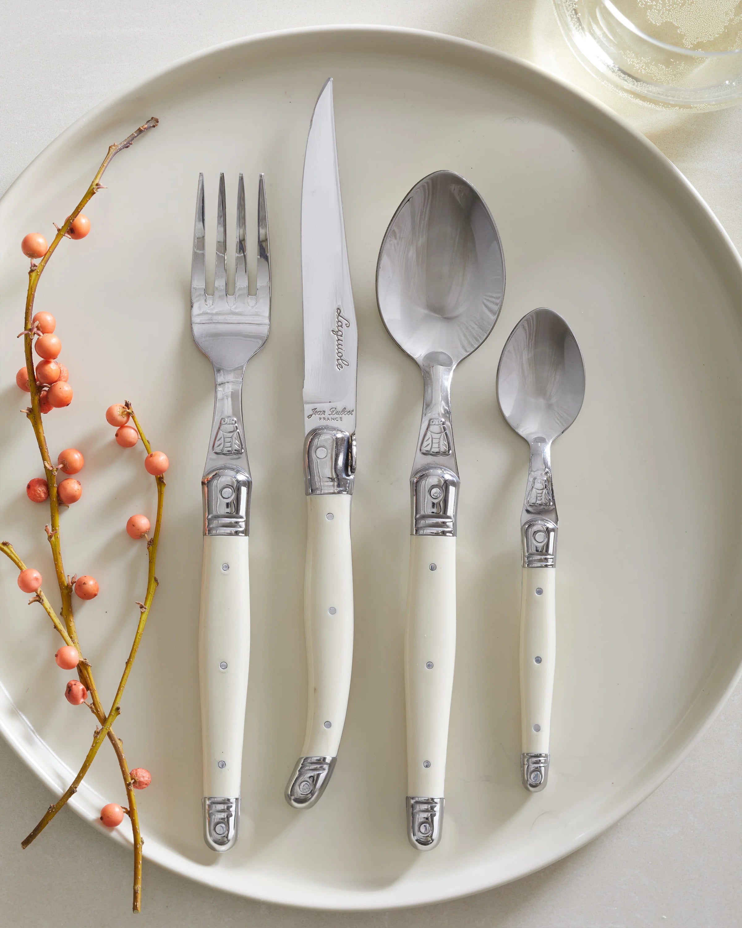 Jean Dubost Laguiole 24 Piece Flatware Set - One Size / Ivory Secondary image