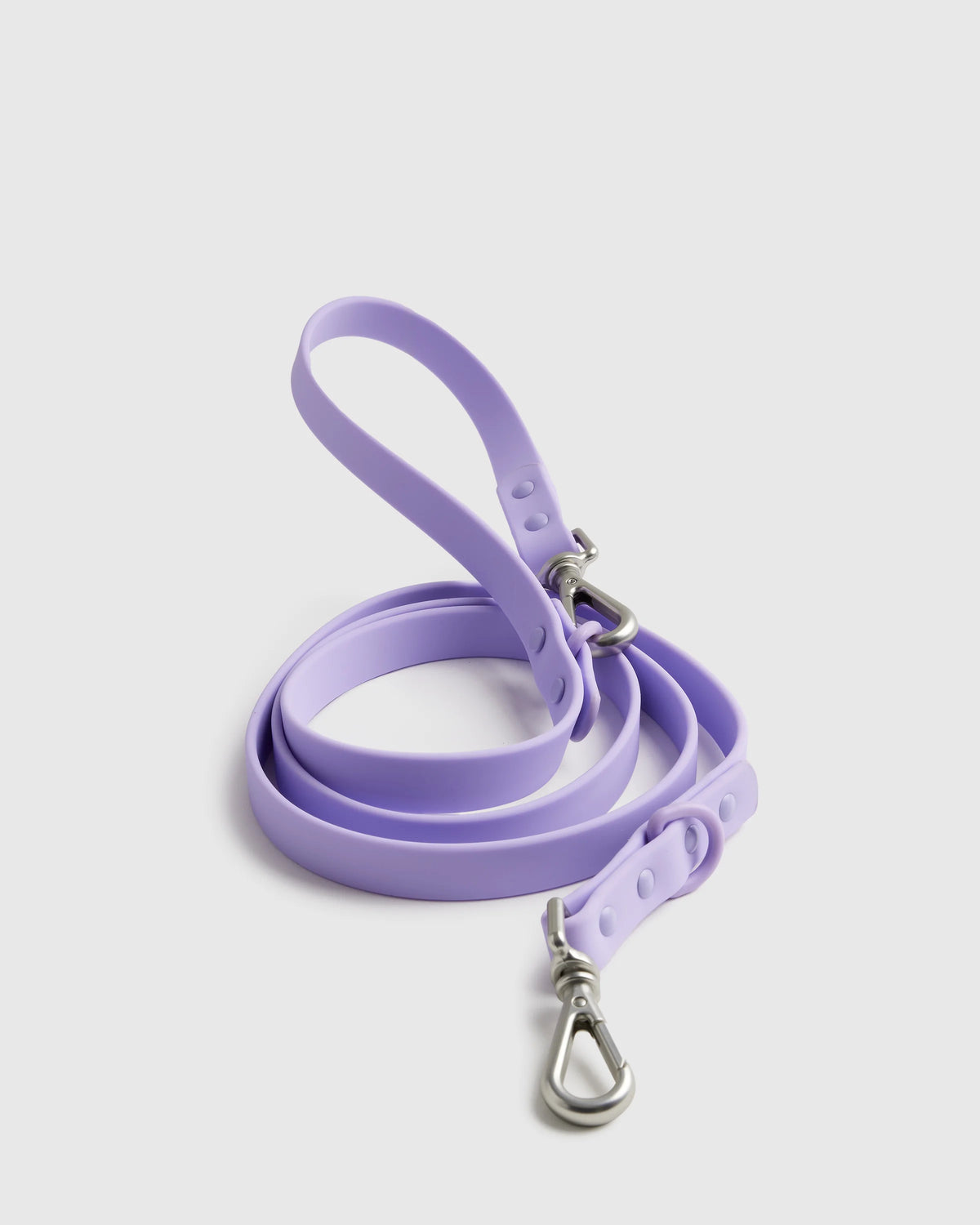 Dog Collar Walk Kit - XS / Black