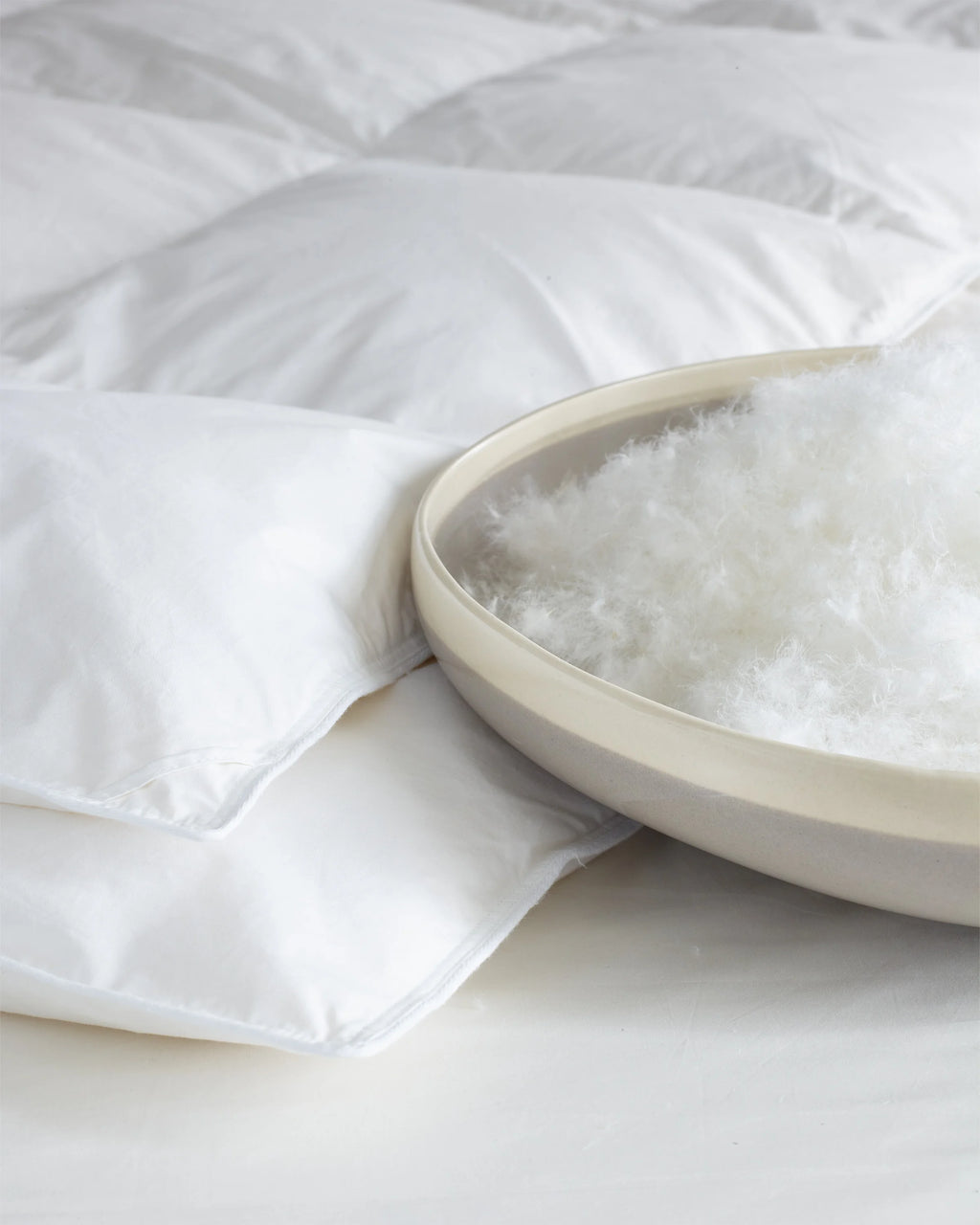Premium Down Duvet Insert - Twin / Down